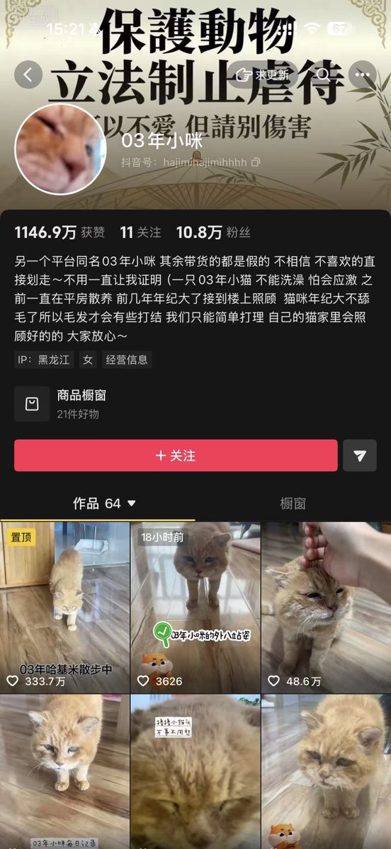 ankur1216's tweet photo. 我发现了一只03年的猫 如今依旧23岁 全网也没有比他老的猫吧 在抖音上也非常火视频都超几百万点赞和转发
让我们用QQQB底池发送  哈基咪底池太不稳定了 https://t.co/x8Cn9TRzrj