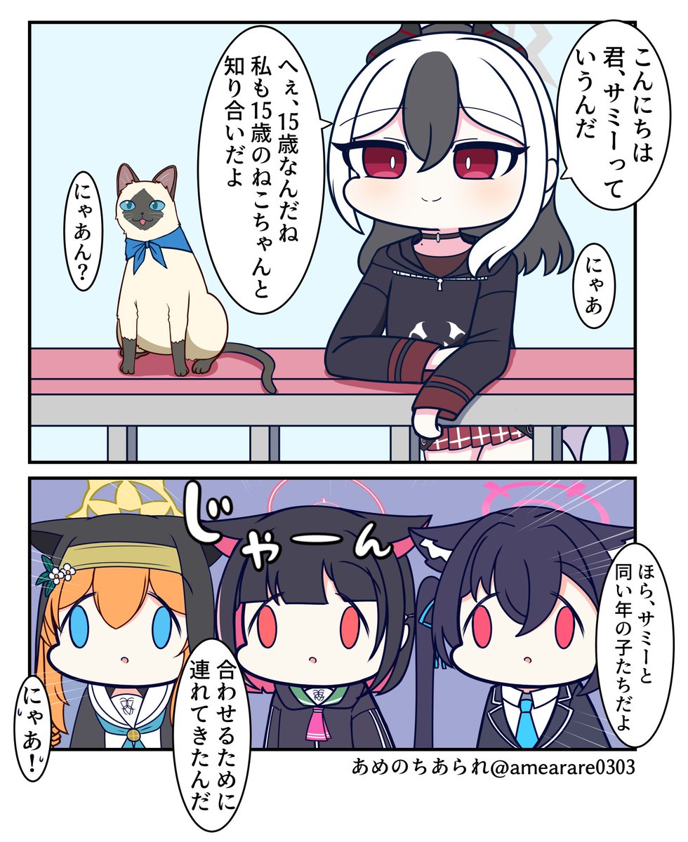 amearare0303's tweet photo. １５歳のネコちゃんたち https://t.co/GoWZzU7WPO