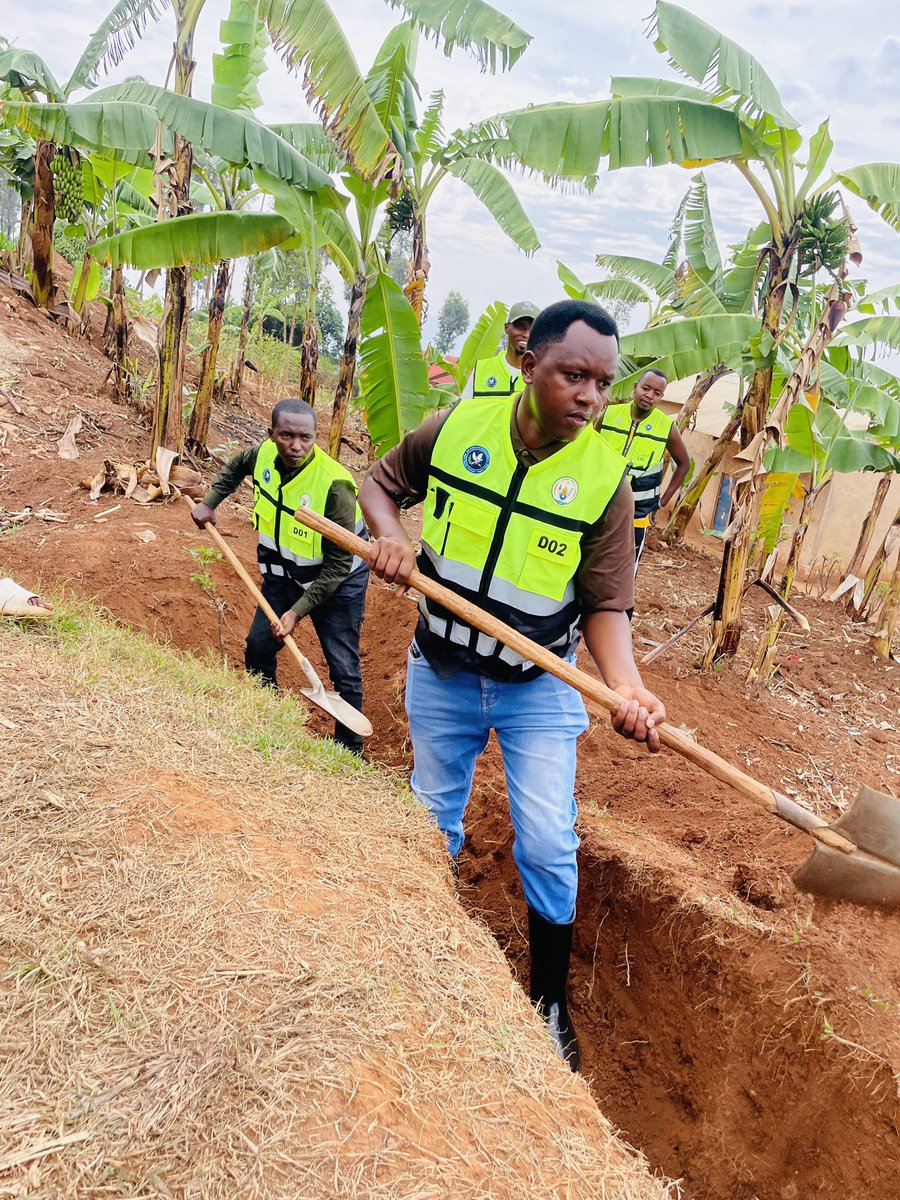 rundaryvcp's tweet photo. This morning, as we celebrate the Month of Volunteers, we joined hands in @RundaSector for community work to prevent soil erosion. 
Proud to work with @RyvcpKamonyi Committee, the District Good Governance Officer, and local leaders @KubanaRichard @RwandaLocalGov @RwandaYouthVol1 https://t.co/7qJicuIYsl