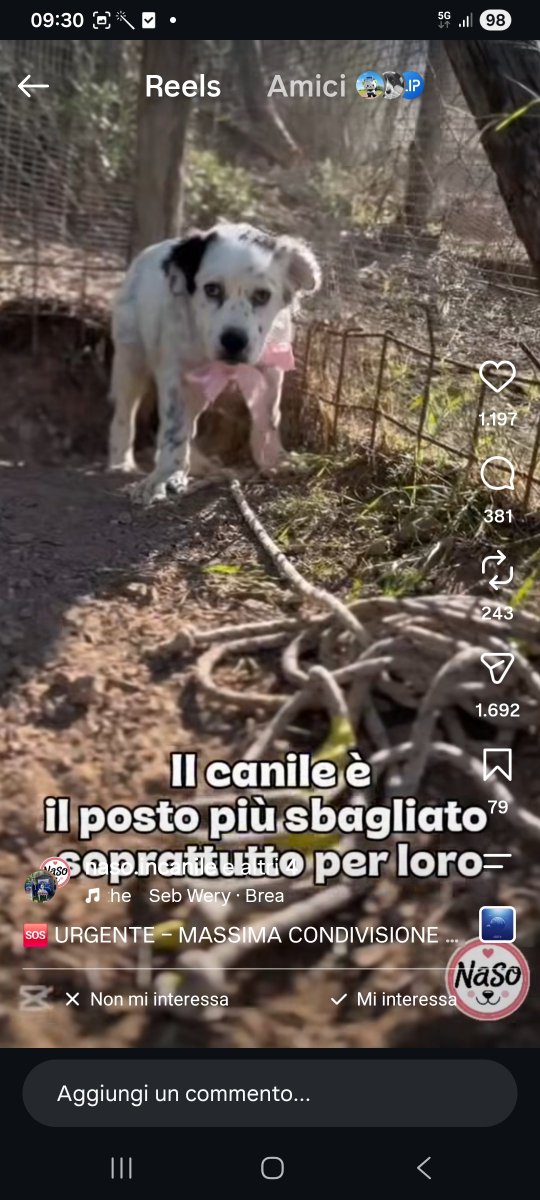 annina_cutillo's tweet photo. https://t.co/zcui1nwfgz