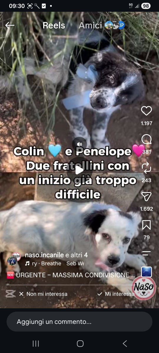 annina_cutillo's tweet photo. https://t.co/zcui1nwfgz