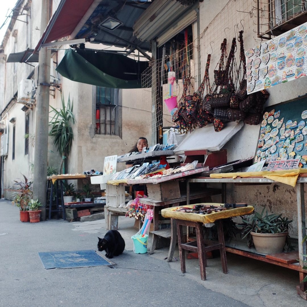 z12ho1's tweet photo. A little bird pecks at the stall, while a customer tugs at their jacket – small moments of daily charm in the old alley street. https://t.co/myyqbtzQRd