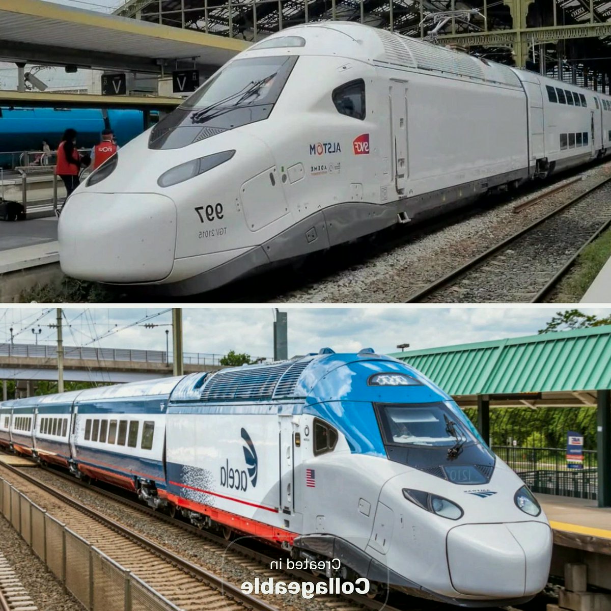 StevenLeewg3r's tweet photo. Acela Express Vs. TGV M…what’s the difference?
#WildlifePhotography #Wassup https://t.co/N3eD9CS1IY