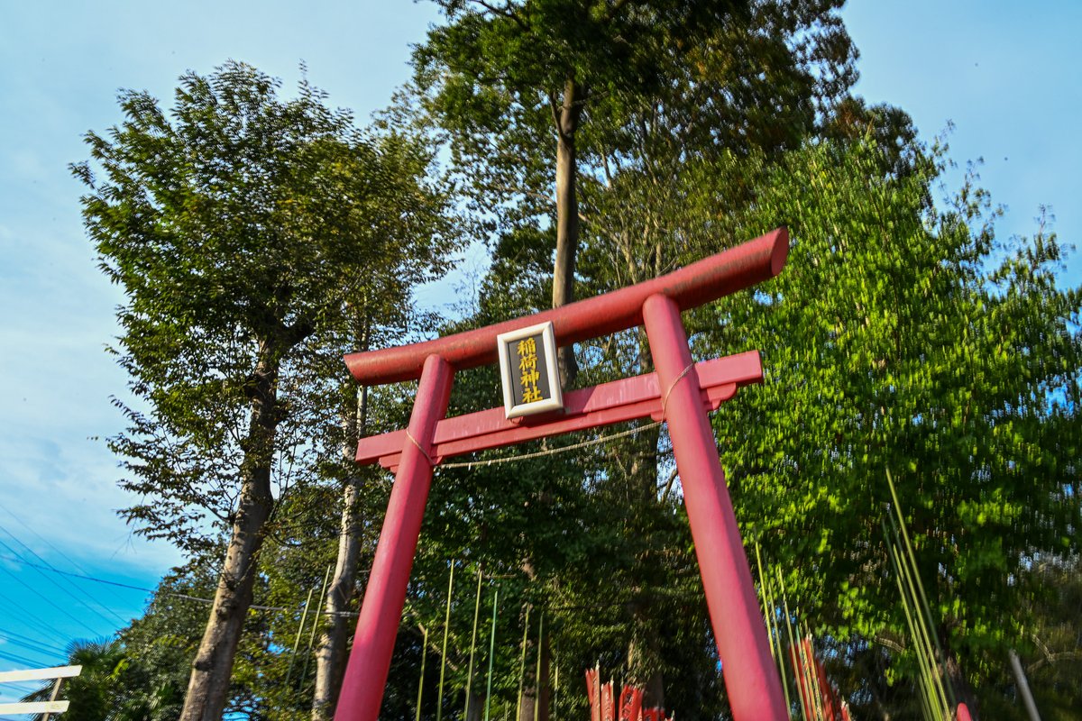 yorii_official's tweet photo. シティプロモーション担当です。桜沢の岩崎公園にある稲荷神社。少しずつ開花している金木犀の甘い香りが漂っていました。
#寄居町 #岩崎公園 #稲荷神社 #金木犀 https://t.co/Ra2eGpvQ7V
