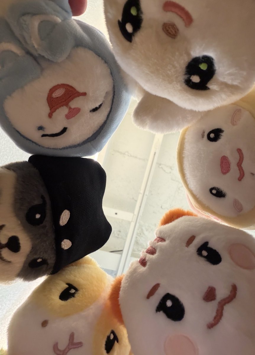 Sa_e42's tweet photo. 일어나 https://t.co/nh5ENe8D3F