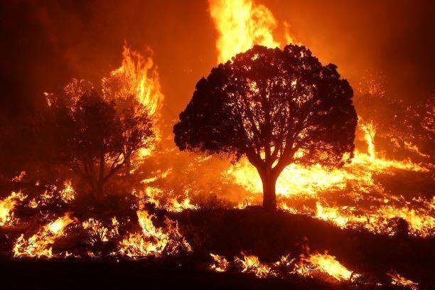 Ethnomesh_'s tweet photo. @Ghostlight_15 the temperature of this take be like: https://t.co/ZVBKJpWlge