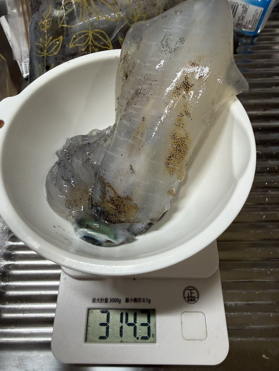 yoko4345's tweet photo. いい感じに釣れてきだした https://t.co/8POl6CMpKh