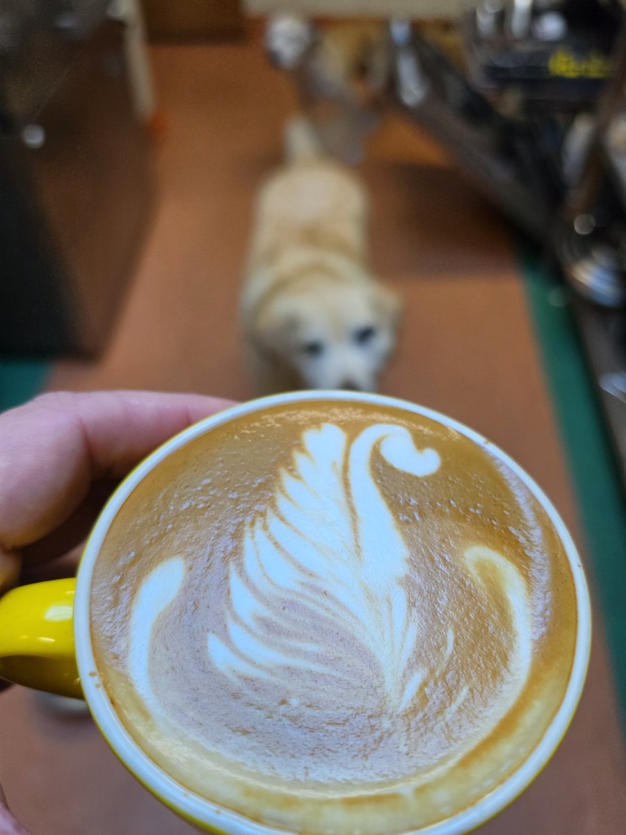 ListenToLewko's tweet photo. @R812199553 She's not wrong. I love going to cafes for a great breakfast or a meal but to go into one just to get espresso several times a day is a huge waste of money.

I make mine at home. https://t.co/Ap5OrXrvEq