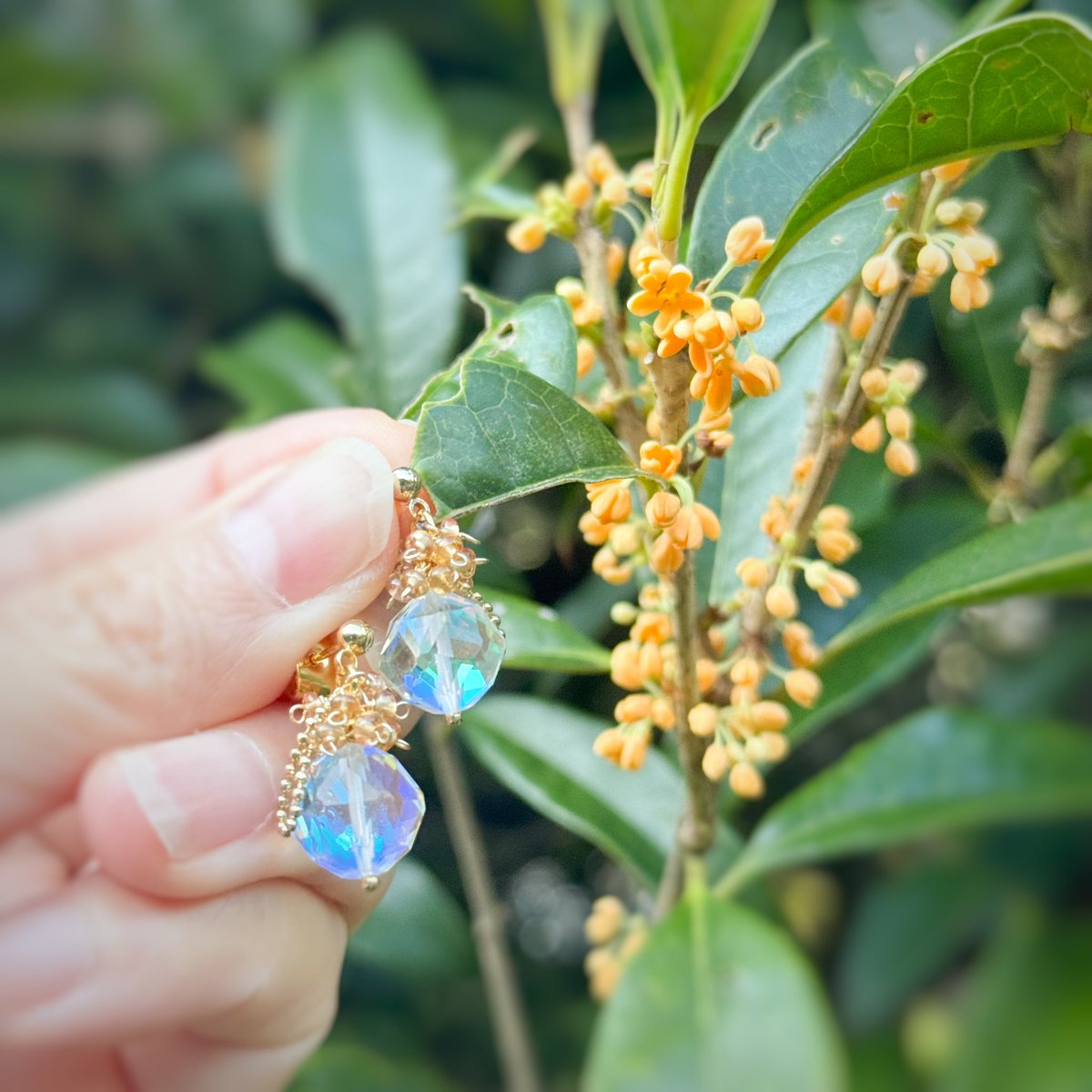 orage_jewelry's tweet photo. 近所の公園の金木犀が段々と咲き始めました✨
とてもいい香りが漂っていますね

金木犀＆銀木犀アクセサリーを追加したBASEショップは本日いっぱい開いております。
本日ご注文いただいた金木犀＆銀木犀アクセサリー分は2日程で発送予定です🧡🤍 https://t.co/0eXVEGHR4k