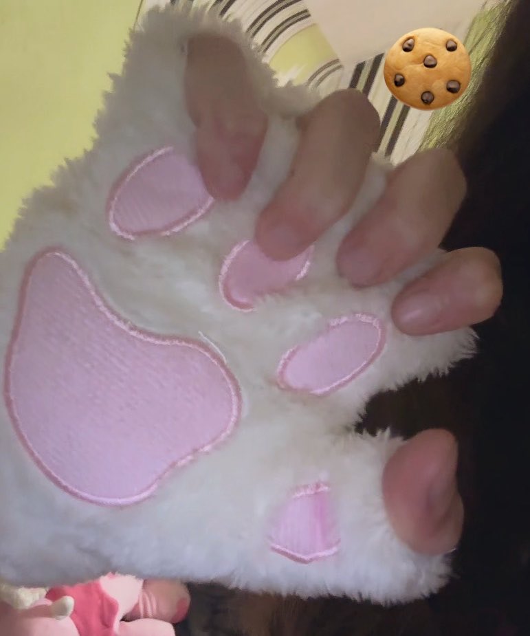 muffincatmeow's tweet photo. 🐹 https://t.co/Sg0fnauJAo