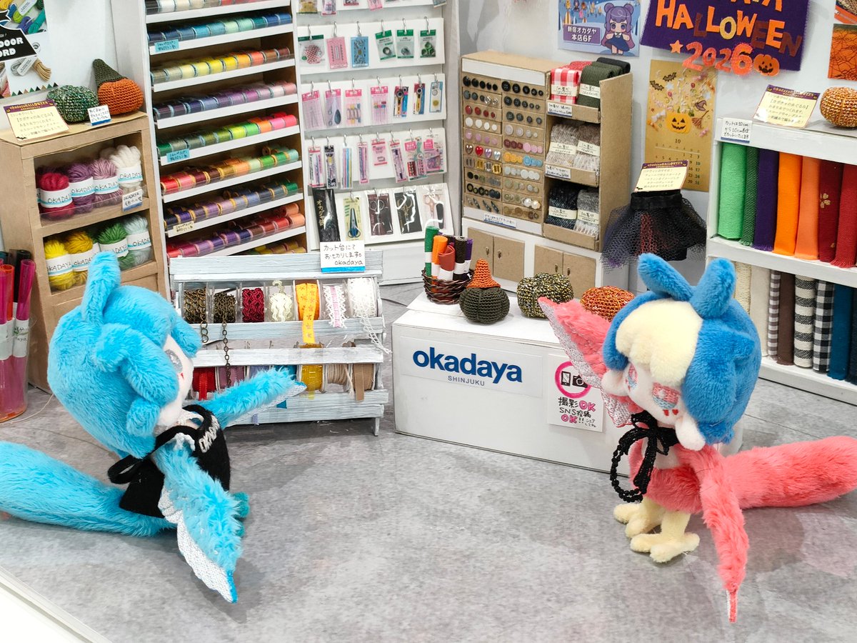 prismrrran's tweet photo. オカダヤさんで遊ぶトリちゃんとトリトリ https://t.co/UIm1ZYycwR