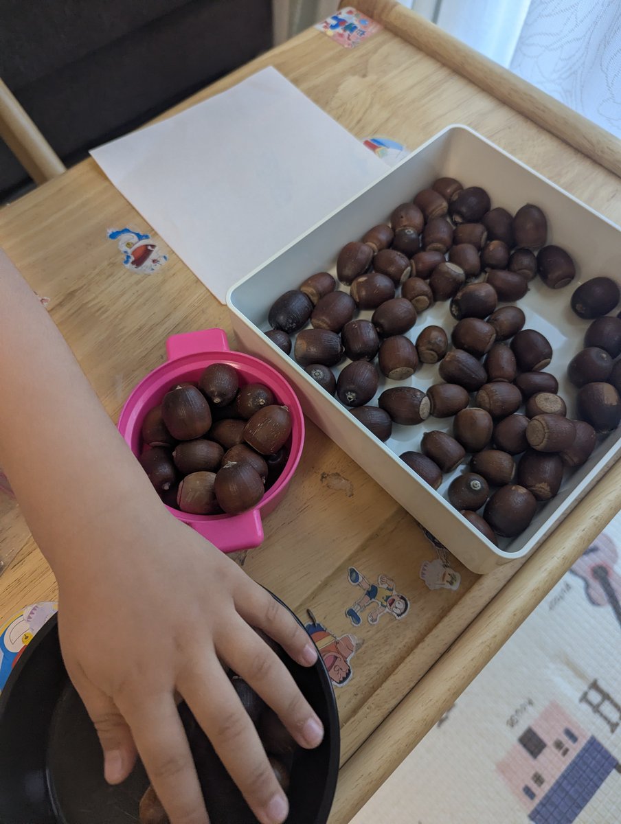 MTC1967772's tweet photo. さっそく、どんぐりをよく洗って鍋で茹でて遊んでます！どんぐり幼稚園!?作ったり、どんぐり弁当らしい！発想力でどう遊ぶかな。
だるくて外に出たくなかったが、子どもに合わせて公園に行き良かった✨️ https://t.co/cBTHBp0IY1