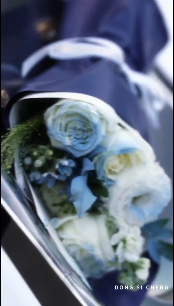 soonyunqi's tweet photo. In his video promo for his first concert, Winwin holds a bouquet of ice blue roses. Ice-blue roses symbolize love across distance, seeing each other from different places. 

He cherishes us deeply😭💙
https://t.co/1idDp9ZcoF https://t.co/QQUXZamlaT