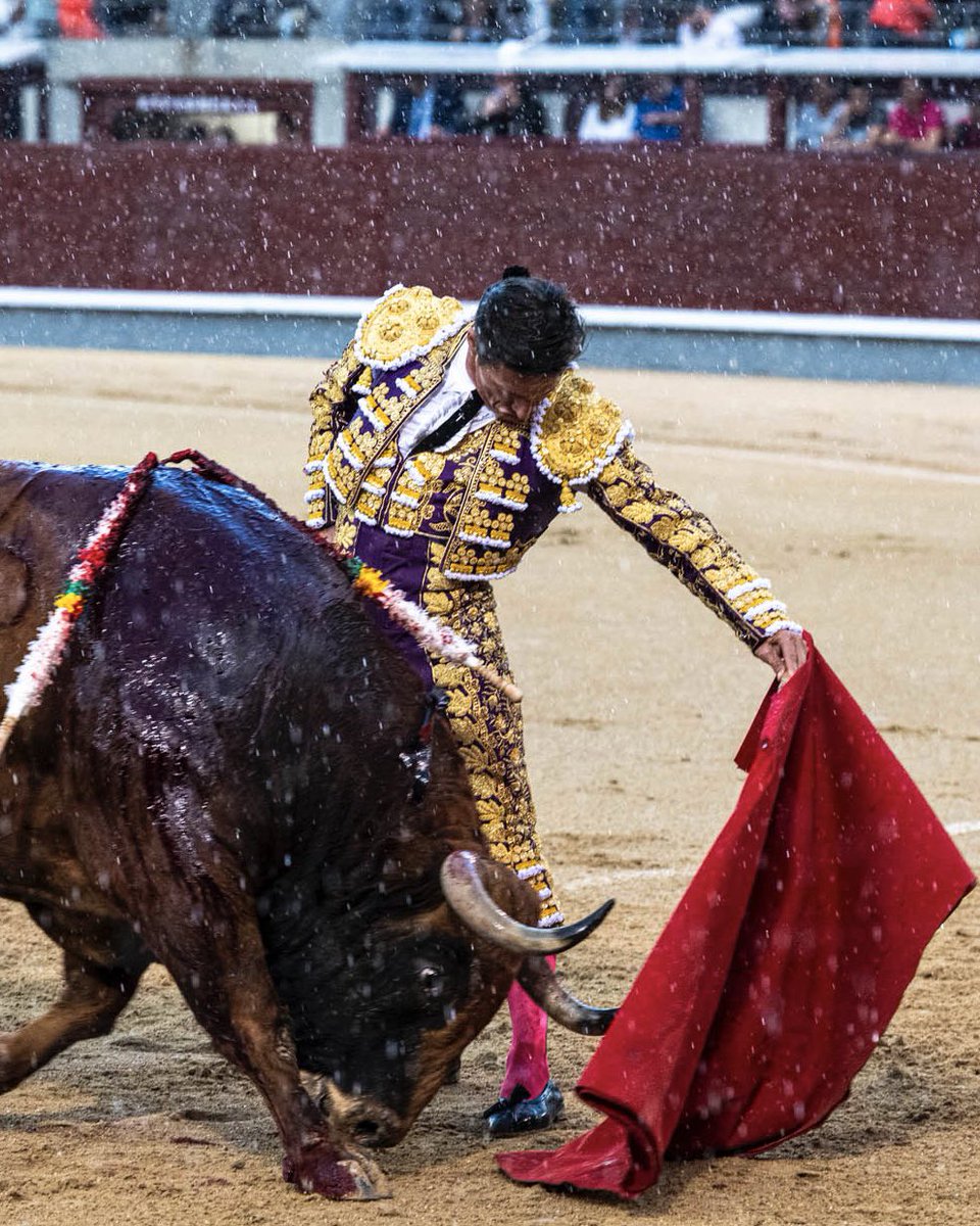 Caye_Sancheez's tweet photo. Lo que hizo ayer bajo el diluvio no se me va de la mente… y no voy a salir de aquí jamás. Esto es el significado de grandeza y torería.
Qué bonito. https://t.co/K6AJZuEzgg
