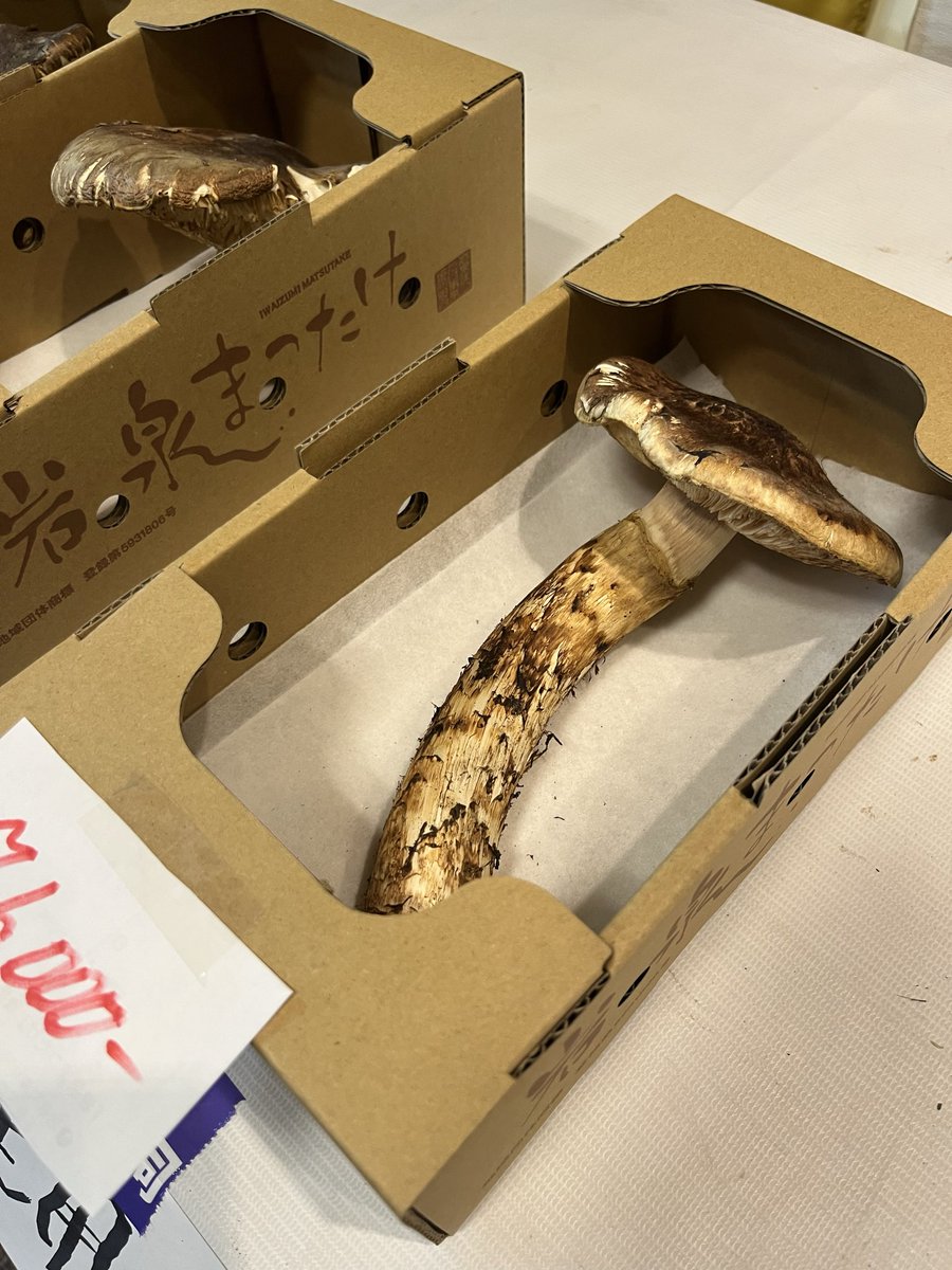 yuichi_manchan's tweet photo. 今年は松茸が豊作とのこと。
無事に岩泉に到着しました♪ https://t.co/QY5vXfkBd0