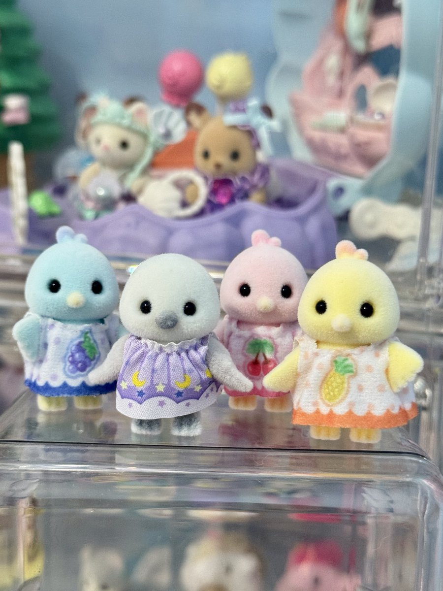 eliteshua's tweet photo. snow bird &amp; citrus birds 🪹 https://t.co/Bzzj9PORwo