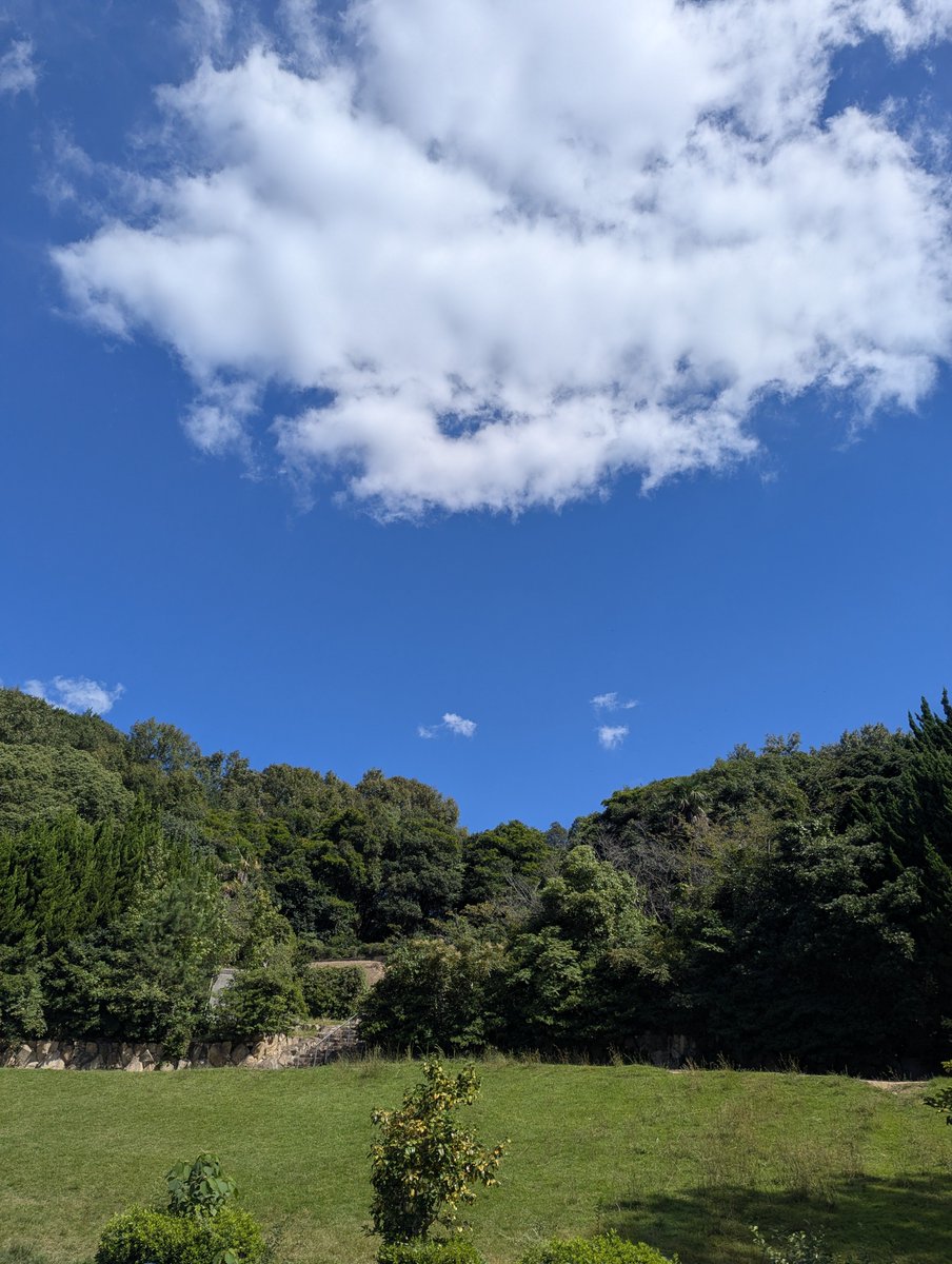 MTC1967772's tweet photo. 秋晴れの中、公園にどんぐり拾いに行きました！気持ちのよい季節🍁
子どもたちってどんぐり拾いが何故こんなに好きなのかな!?本能かな
クヌギの木から、まさに今！どんぐりがボロボロと地面に落ちる音まで聞こえました。 https://t.co/9qSAYBx7jr