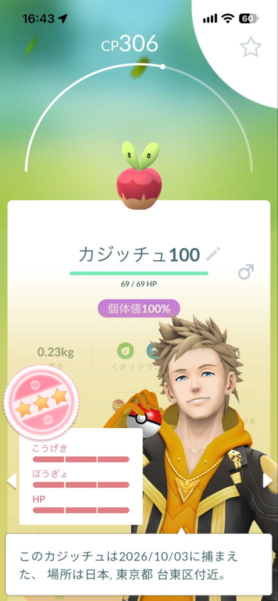 yukichin41's tweet photo. カジッチュ個体値100%とセビエ個体値100%2匹孵化しました🐣
#ポケモンGO https://t.co/Ba31rsNo1b