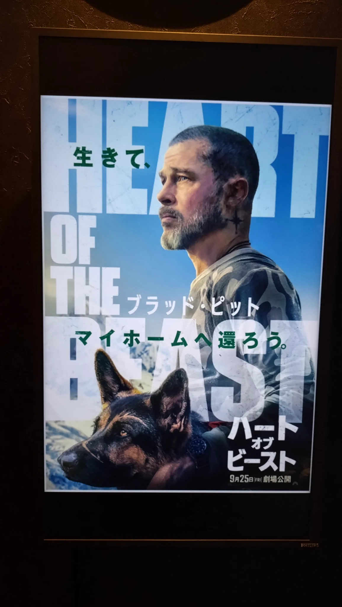 ブラッドピットさん サンポ マスター على X: 