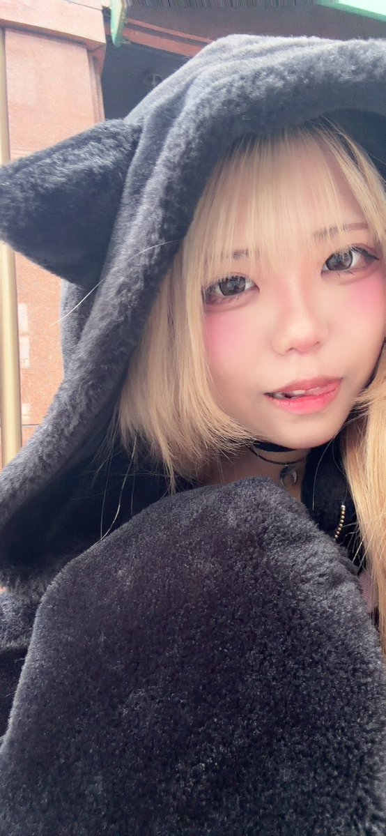 rea_dollbox's tweet photo. 🐾͟͟͞͞= ฅ͟͟͞͞ =(^. .^=)∫ﾈｺﾊﾟﾝﾁ❤︎  #コンカフェ #メイドカフェ #新人メイド https://t.co/wcx40H26OE