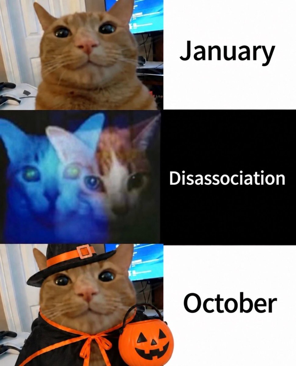 nocontextmemes's tweet photo. https://t.co/7xiJLJT0qF
