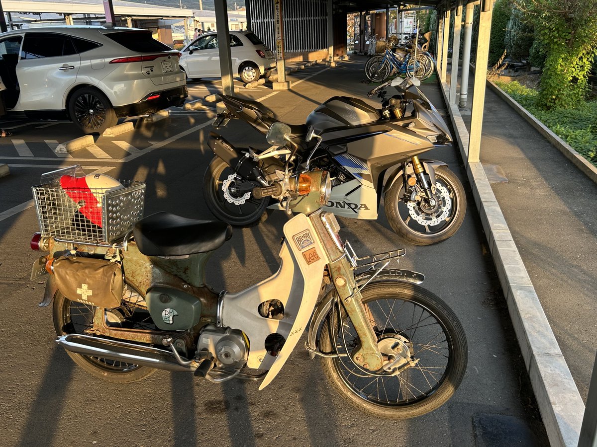 sima19_cub's tweet photo. CBRと散歩してる https://t.co/5ToGdgh2D7