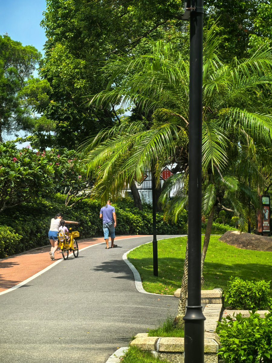 CourseDuske5su's tweet photo. Your daily 10-minute walk is the simplest way to boost metabolism u0026 lift mood. Small steps = big health wins!， https://t.co/9A0GCw9sYc