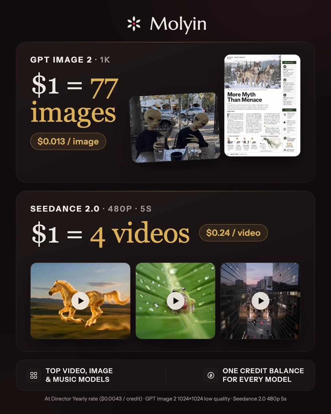https://molyin.com/