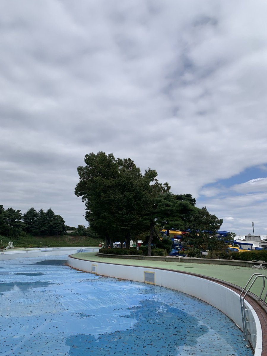 tamako_fa's tweet photo. 無限落ち葉回収編
終わりなき戦い。

#多摩湖駅前フィシングエリア
#10月19日オープン https://t.co/q8PyM6rnaI