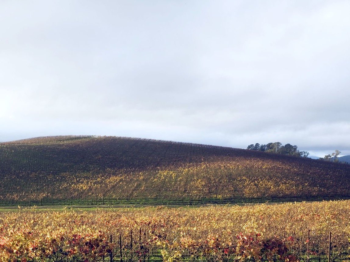 HistoryCalendar's tweet photo. The Windows XP wallpaper, called “Bliss”, was photographed in 1996 by Charles O’Rear. It has been seen by billions of people and is likely one of the most seen photographs ever. At right is the same locations photographed in 2006. https://t.co/wymHTZpcB0