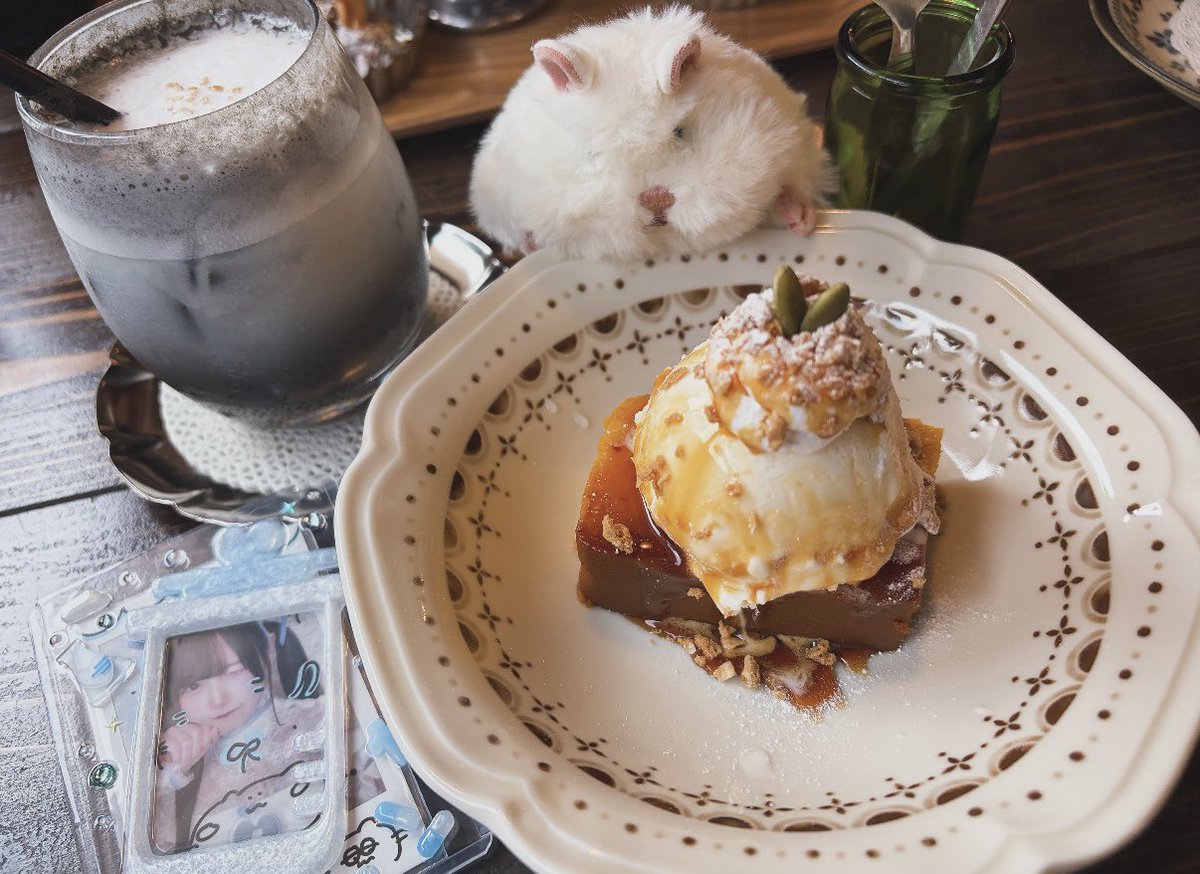 amore_mochio's tweet photo. あもさん、かぼちゃのケーキだよ https://t.co/HdrCH7kSz0