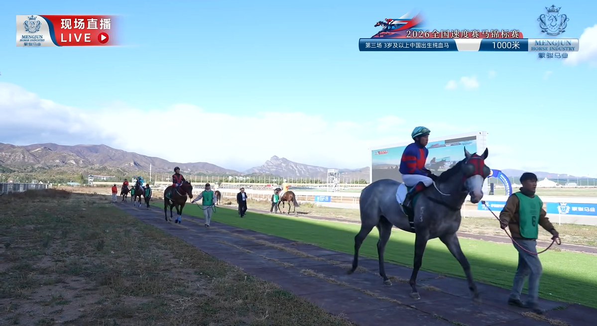 ELing09's tweet photo. good effort from my boy He Li Xue Bao, placed 3rd against 2 older horses to get podium in his first National Tournament 🥹 https://t.co/yXDsFFiRpF