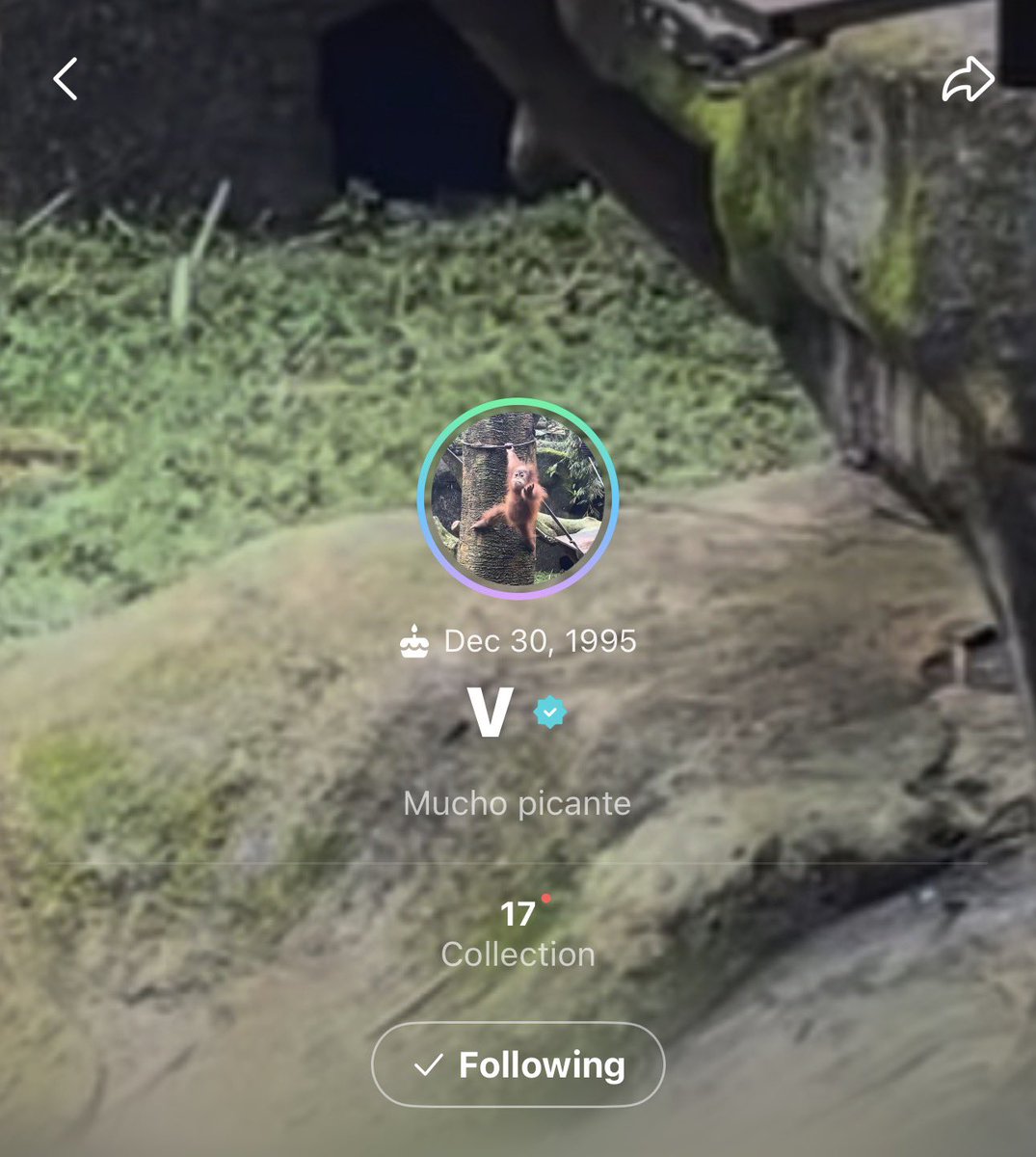 taeguide's tweet photo. Taehyung just changed his weverse profile picture and added Mucho picante in his bio https://t.co/3g9SQnunhe