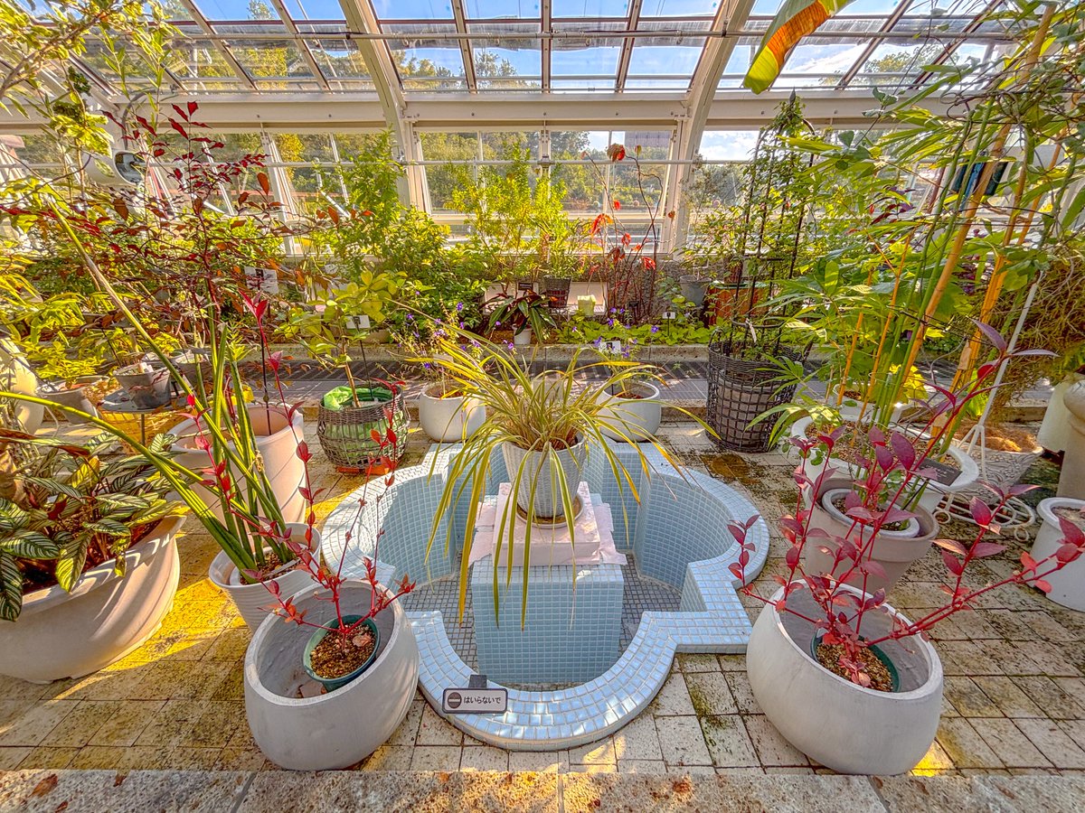 ATR_431's tweet photo. 植物園行って満足🌿 https://t.co/df2na9aKEb