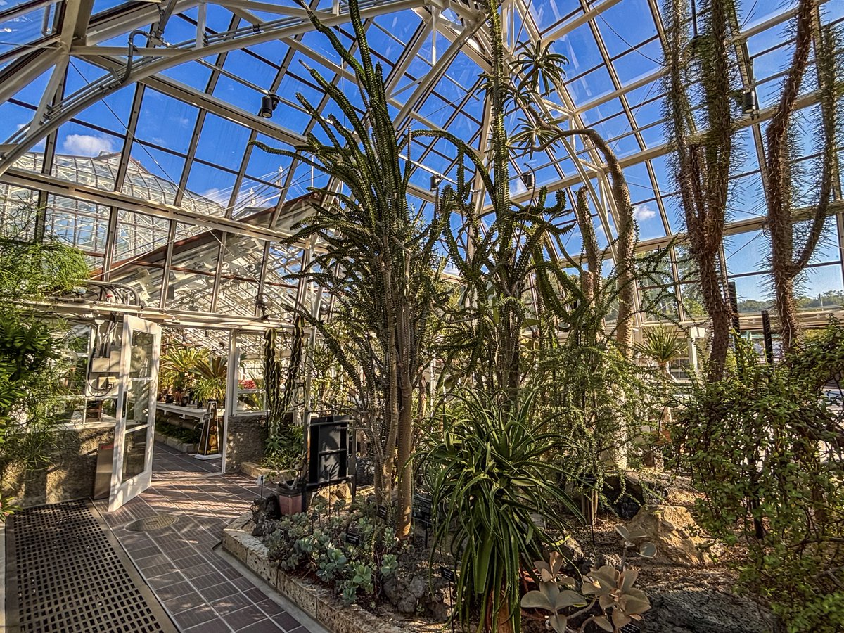 ATR_431's tweet photo. 植物園行って満足🌿 https://t.co/df2na9aKEb