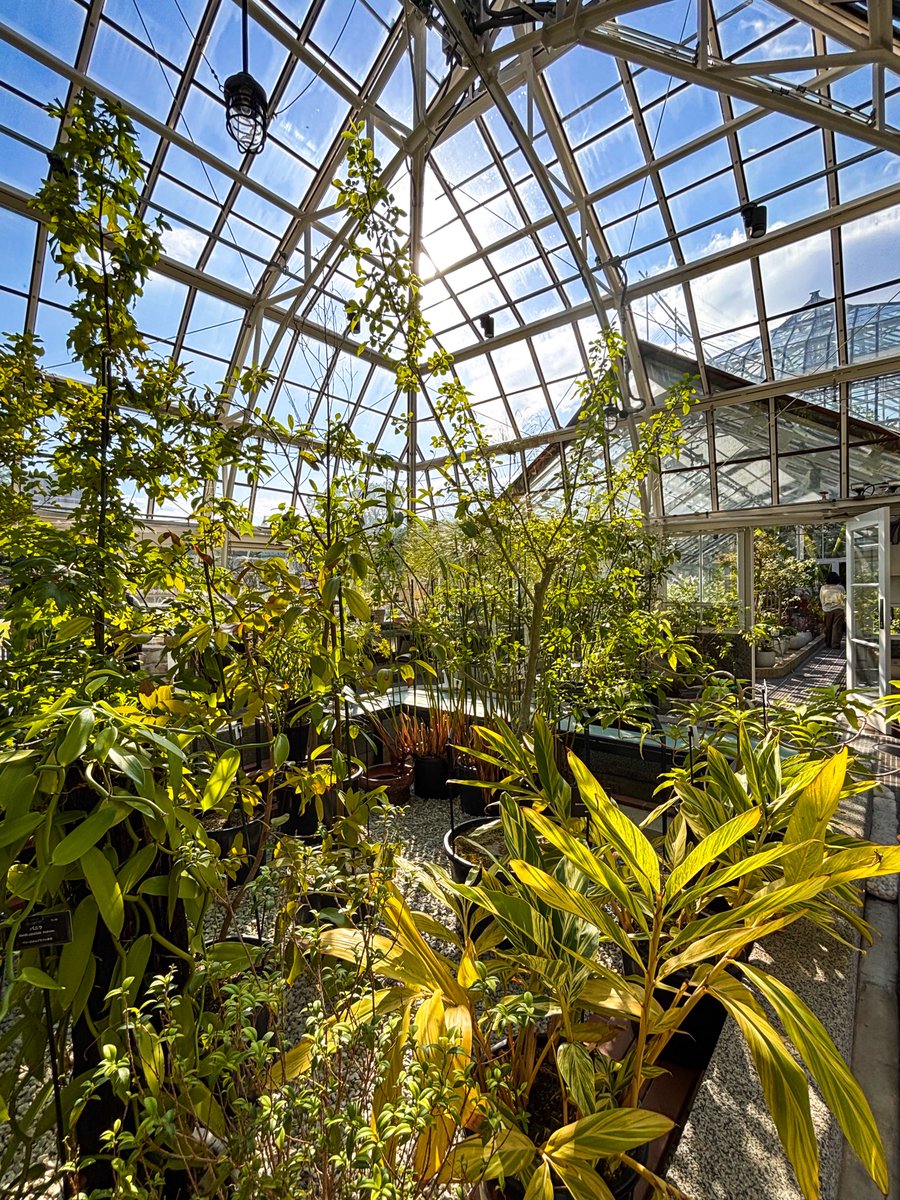 ATR_431's tweet photo. 植物園行って満足🌿 https://t.co/df2na9aKEb