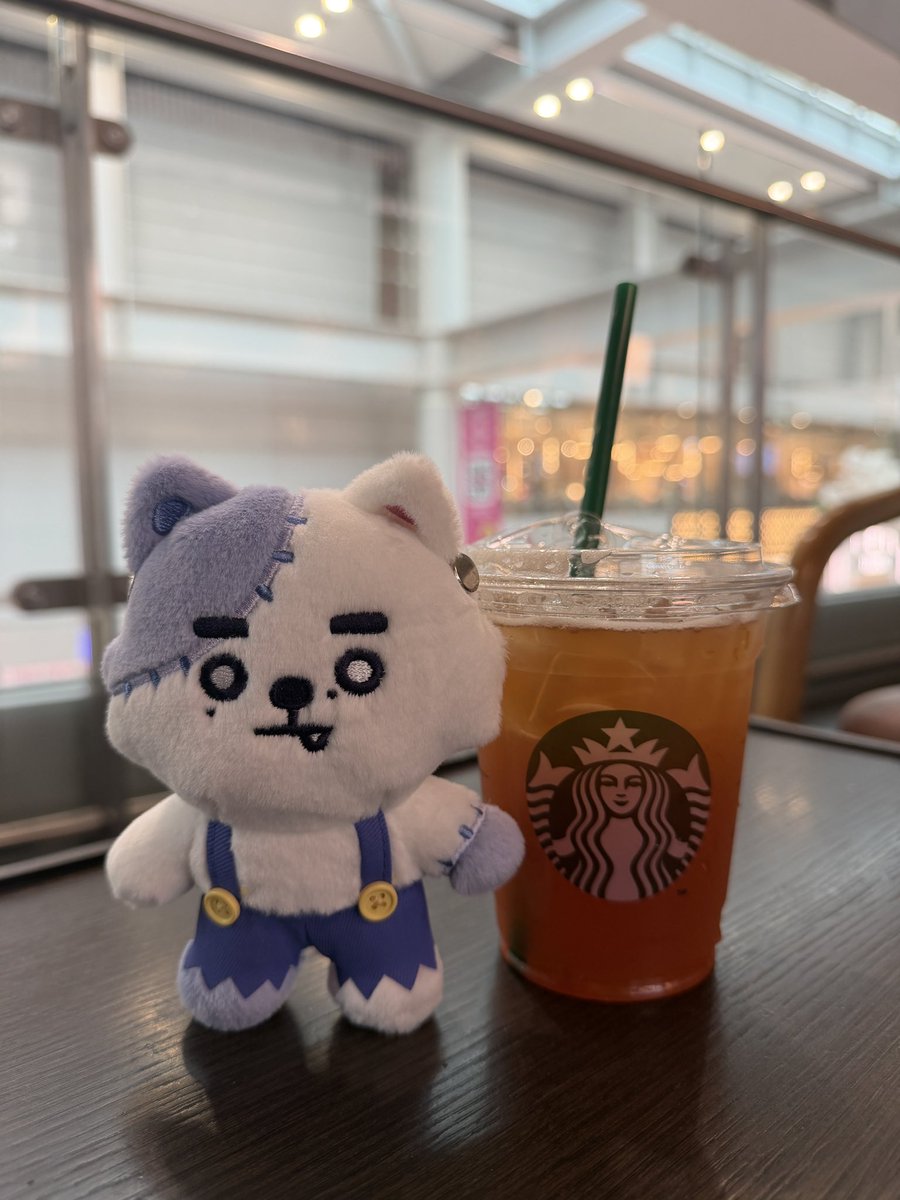 dododoyouever's tweet photo. ポッサムもスタバのグレープフルーツハニーブラックティーも安定においしいし全然帰りたくない🙂 https://t.co/d4n9q8OBgl