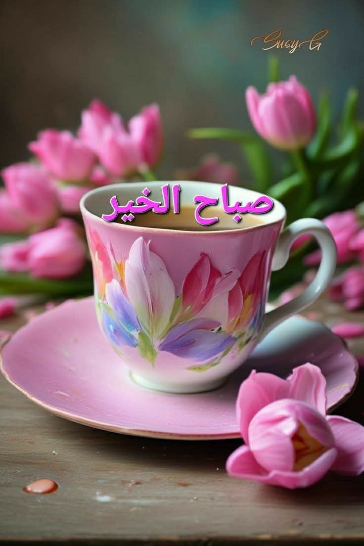 RadwanHamz77355's tweet photo. @GwSWt7POqm8J2mu https://t.co/7SDd1oHdOy