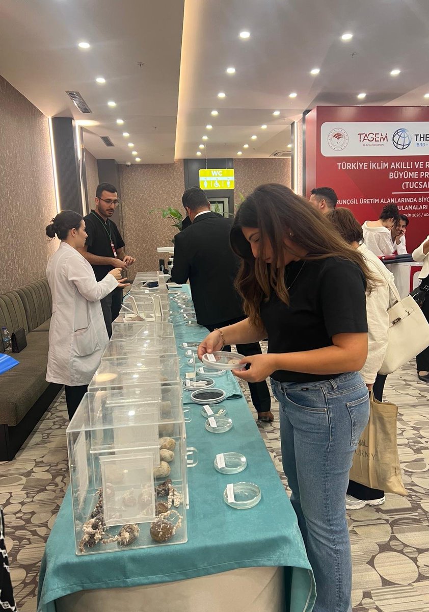 tagemgovtr's tweet photo. 🍊 Turunçgil Üretim Alanlarında Biyolojik ve Entegre Mücadele Eğitimi Adana’da Gerçekleştirildi 

Genel Müdürlüğümüz koordinasyonunda düzenlenen “Turunçgil Üretim Alanlarında Biyolojik ve Entegre Mücadele Uygulama Eğitimi” 1 Ekim 2026 tarihinde Adana’da gerçekleştirildi.

Adana Biyolojik Mücadele Araştırma Enstitüsü Müdürlüğümüz ev sahipliğinde düzenlenen programda, açılış konuşmalarının ardından gerçekleşen eğitimde; biyolojik ve entegre mücadele, doğal düşmanların kullanımı, zararlılarla mücadele ve Akdeniz meyve sineği yönetimi konularında teorik ve uygulamalı bilgiler verildi.
@TCTarim @tagemgovtr
