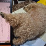 Photo by ปอป่านขอแปล (@ParnTranslation)