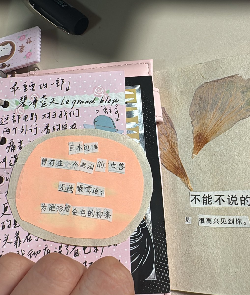 L_HearmE's tweet photo. 我为这个人创造了可爱的手帐。然而这个人让我陷入非常深刻的，害怕怀孕的状态中，我的生活第一次的翻天覆地。给予我的关切和呵护是真的，剩下的全都是讨伐，现在不知道要怎么办才好呀、能感受到他因为生活本身的忙碌而逐渐对我厌弃了，我除了惊慌失措以外、真的不知道怎么办才好 https://t.co/pFwNRBpY7f