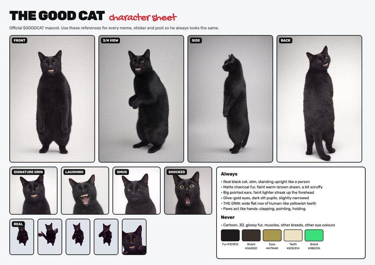 goodcatmeme's tweet photo. meet THE GOOD CAT 👏

official character sheet just dropped.

- slim. upright. scruffy.
- olive-gold eyes that see your potential
- the grin. you know the grin.
- paws built for one thing: clapping for you

he's proud of you, champ.

💬 https://t.co/Ocwxrm4pSy
$GOODCAT https://t.co/OAaOS18g27