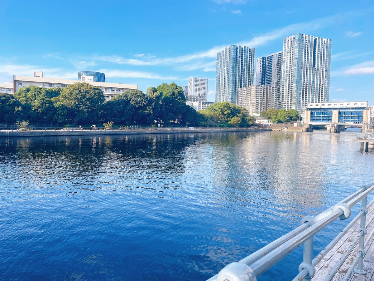 itumizu_sub's tweet photo. 川沿いお散歩してぽかぽかしてきた https://t.co/myFyl5J0wl