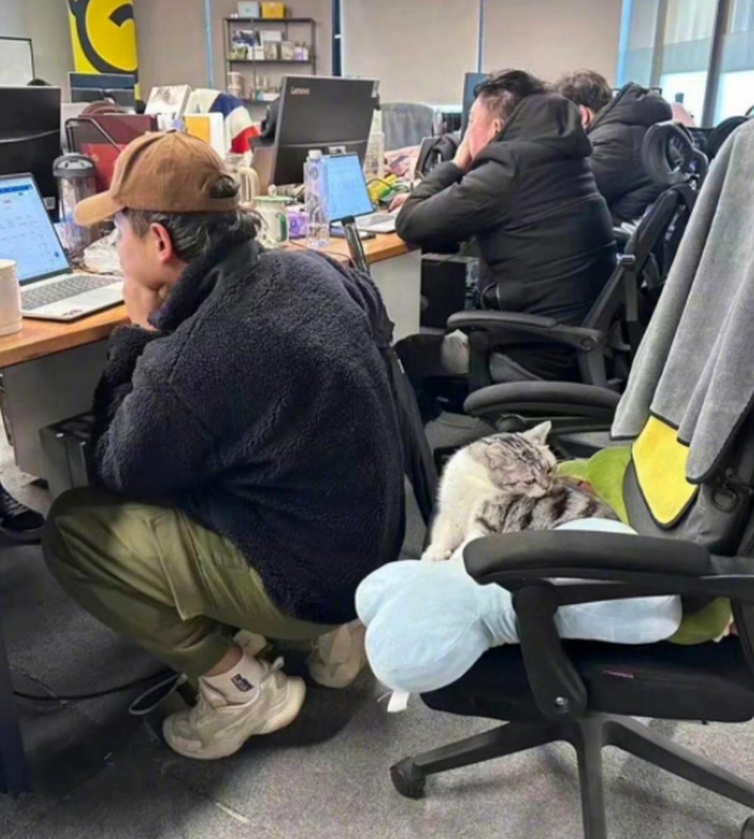 RobbinAddeoj's tweet photo. Hoy en la oficina, el gato del conserje se coló en la sala de reuniones y se durmió en la mesa del jefe. Nadie se atrevió a despertarlo, así que la reunión terminó siendo un evento para acariciar al minino. https://t.co/LlKpQrxtWJ
