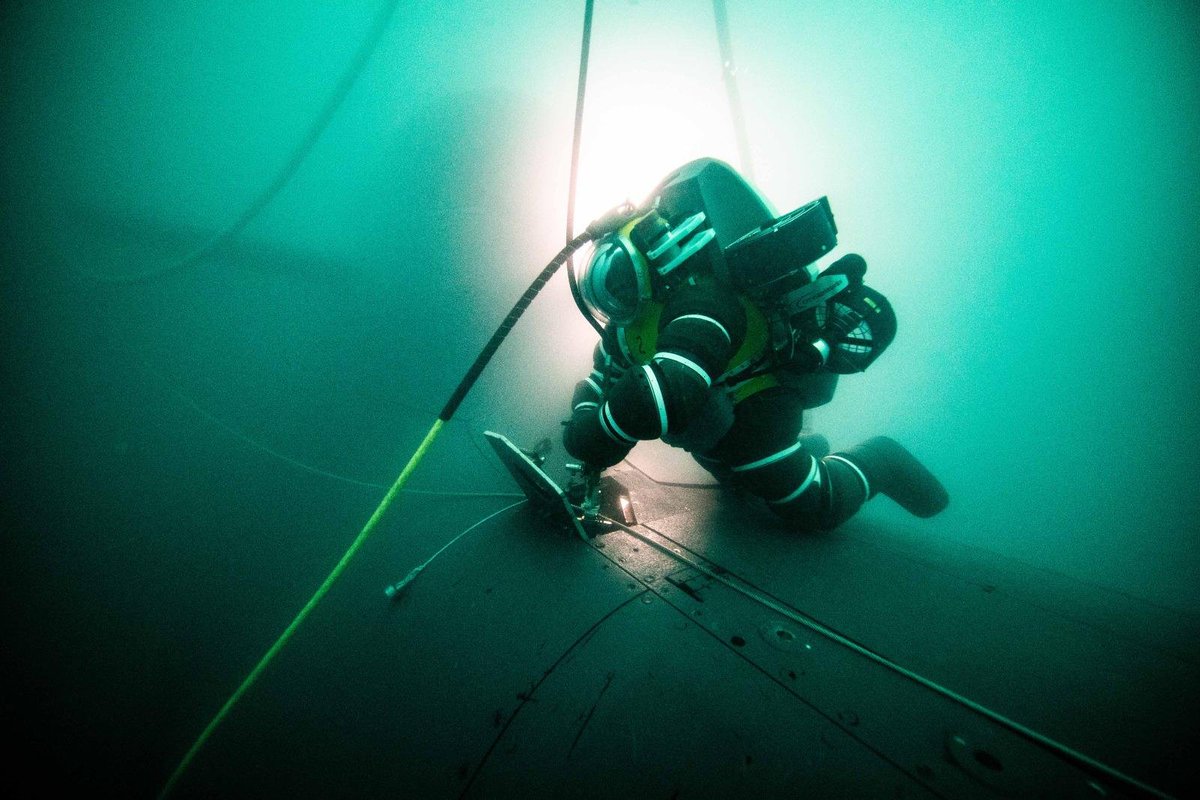 MinisteroDifesa's tweet photo. #CulturaDifesa 🌊

Sott’acqua, in superficie, a bordo di una nave o in un porto.

I Palombari della #MarinaMilitare operano in ambienti diversi, affrontando ogni scenario con preparazione, precisione e tecnologie avanzate.

Immersioni profonde, bonifiche subacquee di ordigni inesplosi, recuperi e interventi su fondali e infrastrutture: capacità specialistiche che richiedono esperienza, addestramento e sangue freddo.

Una professionalità in cui tradizione e innovazione si incontrano ogni giorno per affrontare le sfide del presente e del futuro.