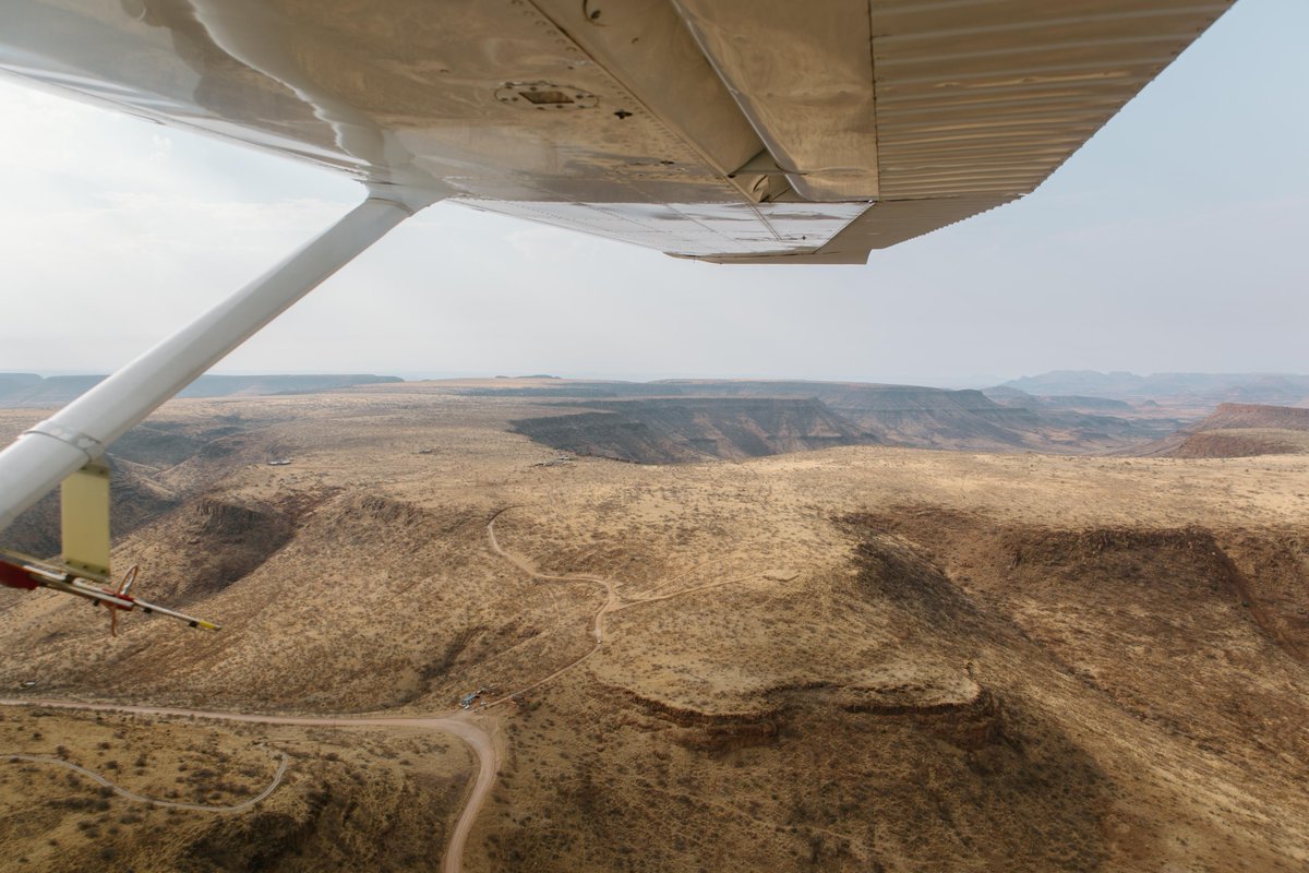 SRTNamibia's tweet photo. As the sun rises over Namibia’s vast wilderness, the day begins from above.  An early morning flight takes to the skies to track and monitor black rhinos across the remote landscapes they call home. A different perspective on the vital work of protecting Namibia’s black rhino. https://t.co/820RSjpBjT
