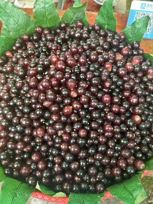 A large pile of dark purple grapes or berries arranged in a circular display on green leaves, with a payment QR code visible in the upper right.