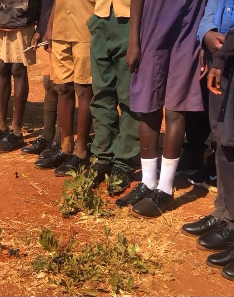 NgarivhumeJ's tweet photo. While #corrupt oligarchs dish out millions of US dollars to the rich and powerful, children at Silverhills Primary School in Mhangura learn in a collapsing classroom. Yet they remain determined to succeed.
This is a national disgrace. The people must speak!

#NoToCorruption https://t.co/VEwlgsCIRp