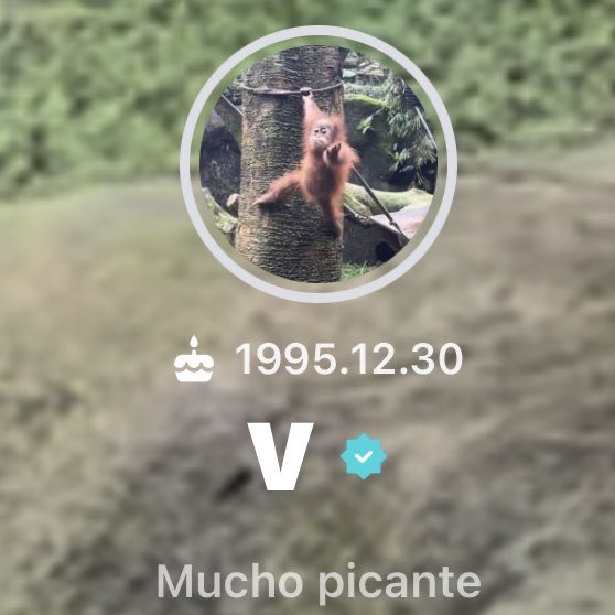 taesl0ver's tweet photo. taehyung updated his weverse profile picture to a monkey and changed his bio to “mucho picante” he really made this his entire personality byeeejdufjkf 😭😭😭 https://t.co/NVlYNoLgiZ