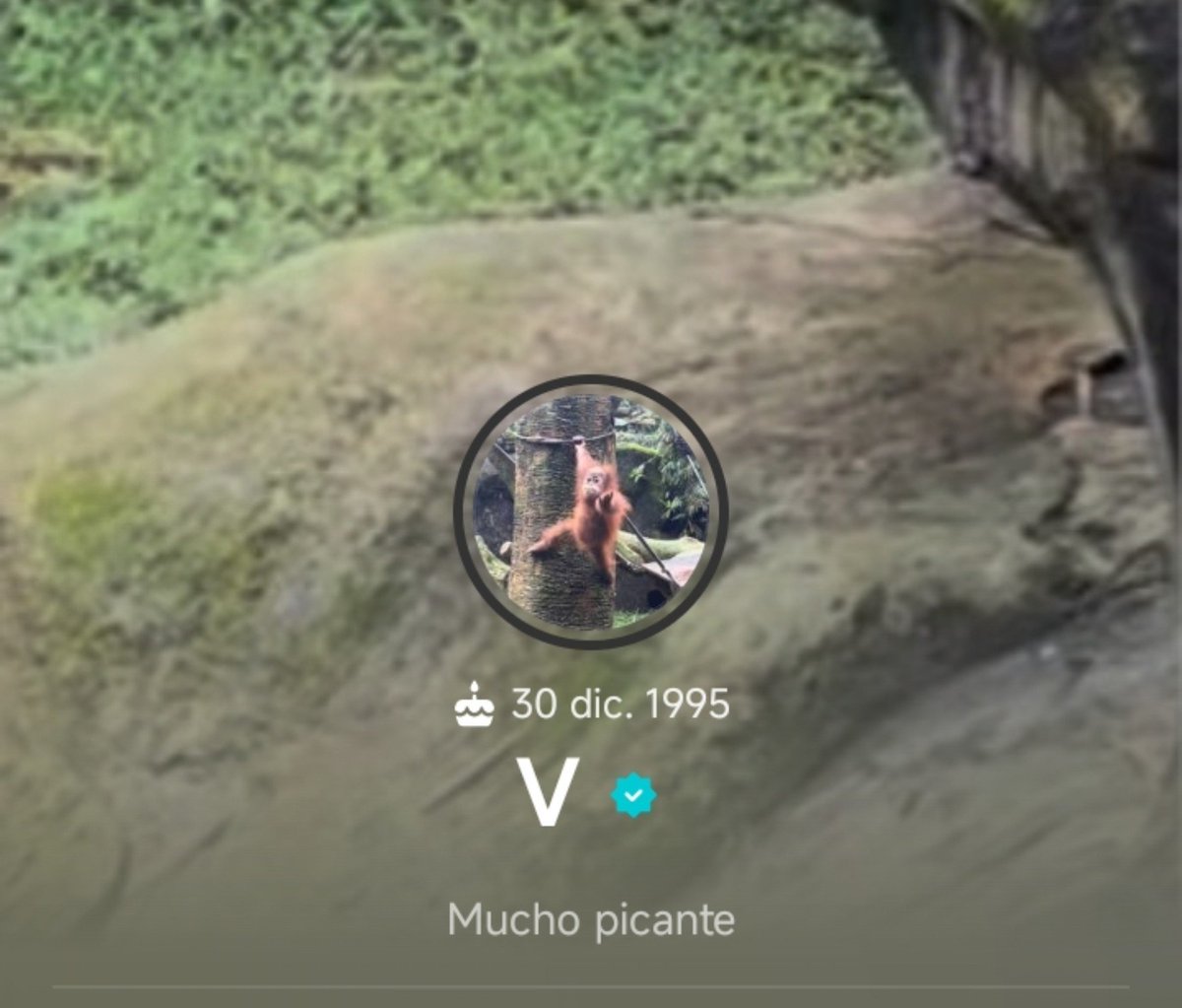 thvhobies's tweet photo. TAE SE PUSO MUCHO PICANTE DE BIOGRAFÍA EN WEVERSE MI PAÍS CHIBGADA AHUEVO AMA A SU PAÍS A SU PUEBLO https://t.co/bJPm4T3O4B